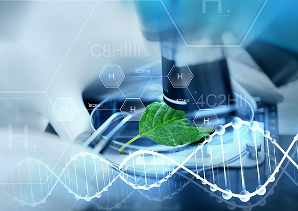 Biocatalysis Platform