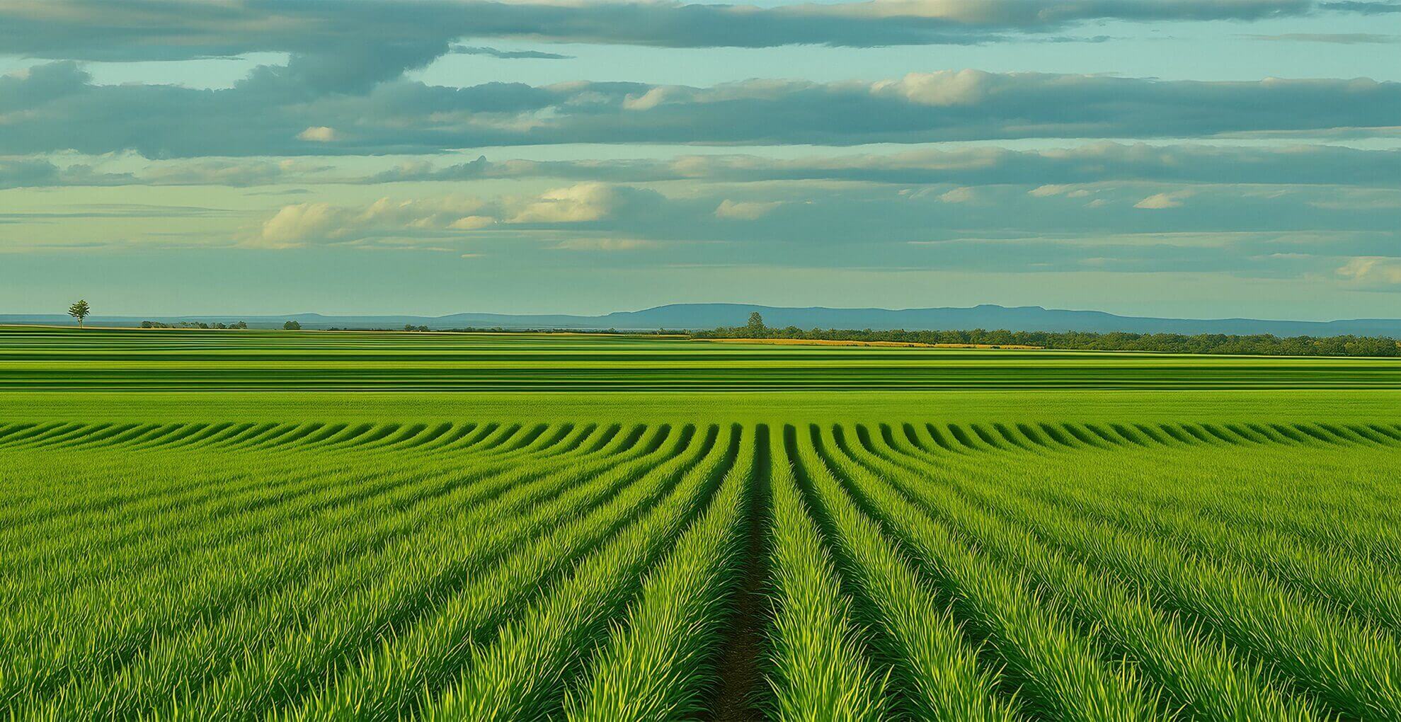 Green Agricultural Technology