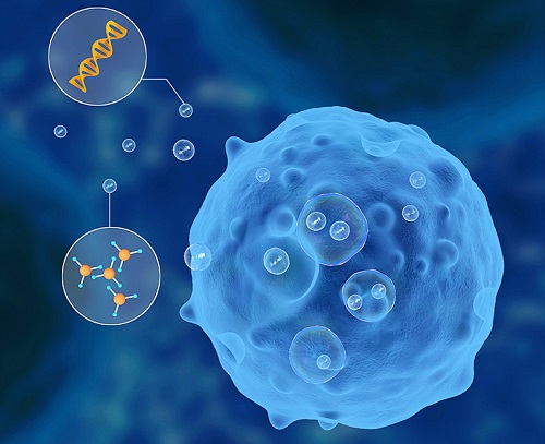 Thalidomide