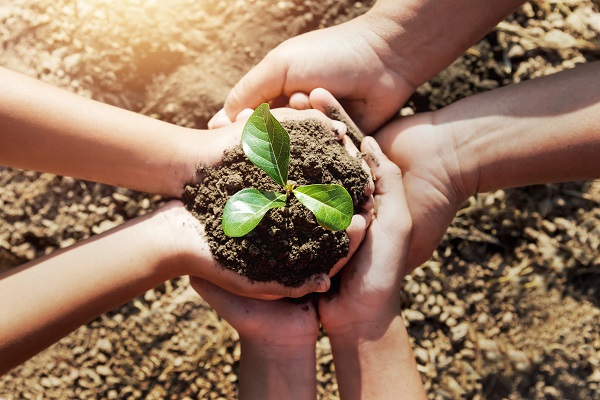 Sustainability Commitment
