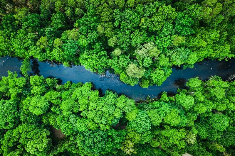 sustainability