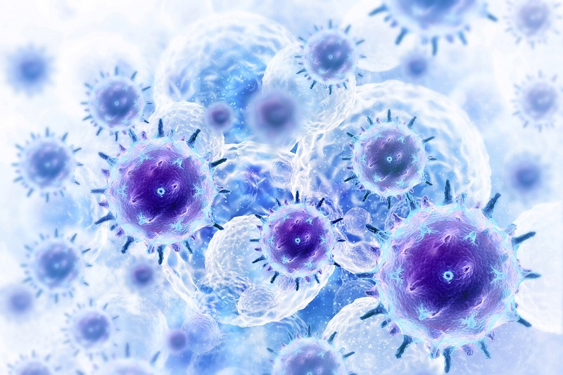 Magnetic Blood Gel Fiber Robot